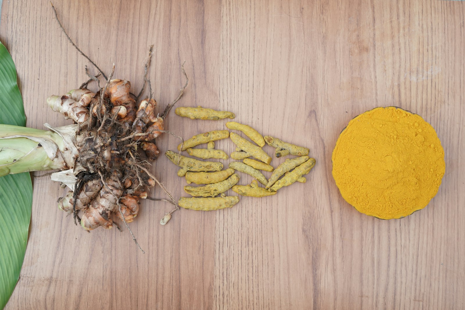 Turmeric from the selva central: fresh rhizome, dried fingers, milled powder