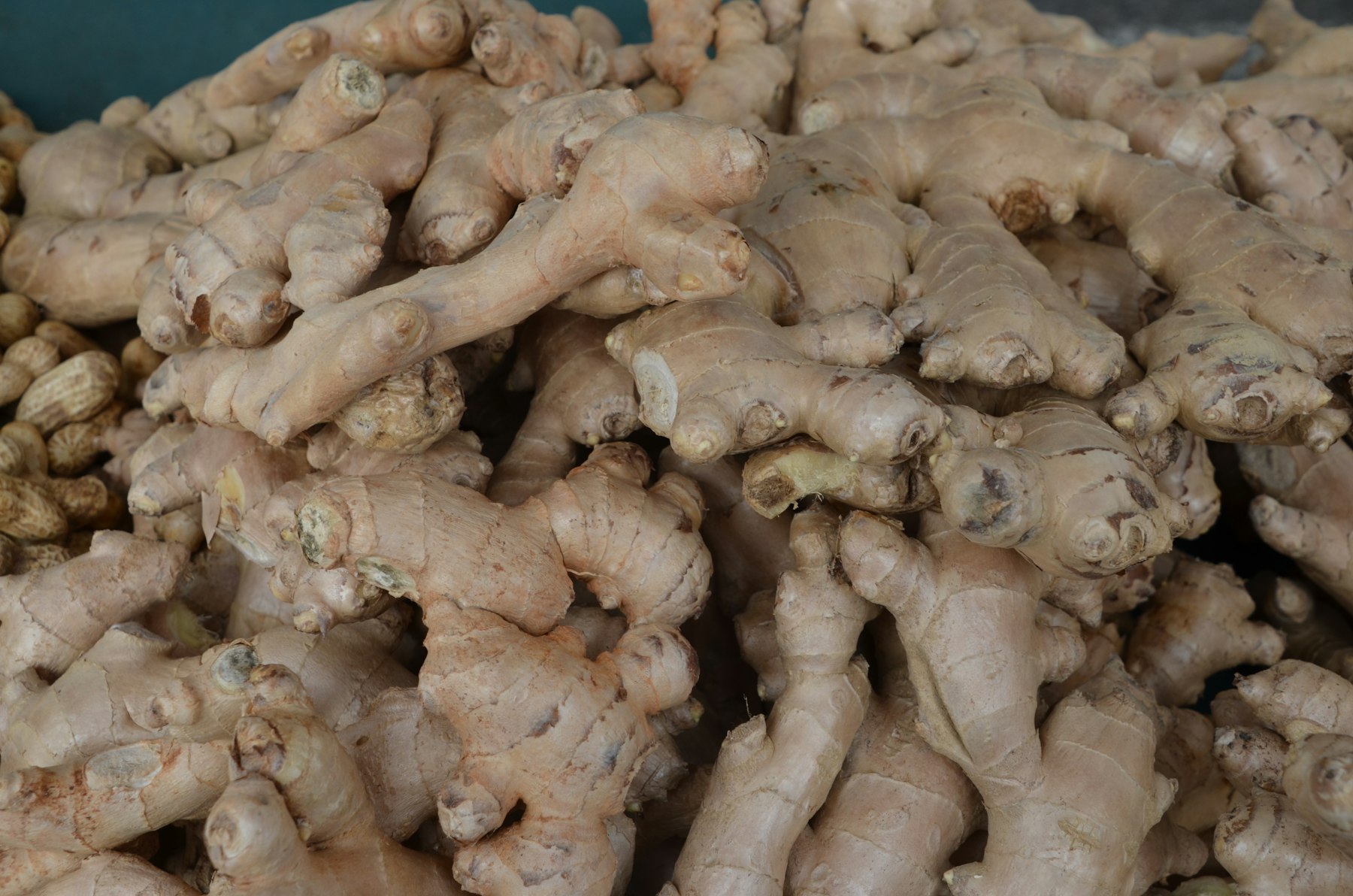 Fresh Peruvian ginger rhizomes at market